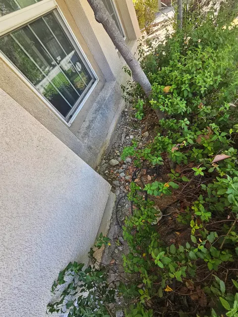 1842 Richards Pl, Upland, CA 91784 photo 56