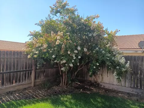 Exterior - 15887 W Stanislaus Ave, Kerman, CA 93630 photo 3 of 8