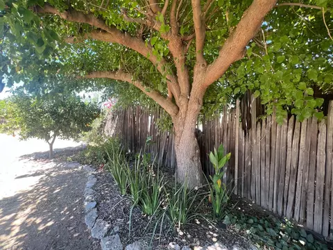 Exterior - 55 E Lorena Ave, Fresno, CA 93706 photo 5 of 22