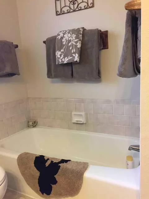 Bath - 51400 Hogback Rd, Miramonte, CA 93641 photo 5 of 5