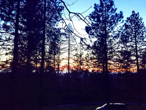 Other - 51400 Hogback Rd, Miramonte, CA 93641 photo 7 of 9