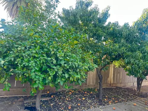 Exterior - 4736 E Lyell Ave, Fresno, CA 93702 photo 2 of 5