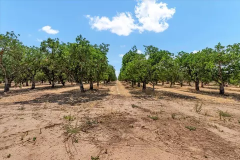 20468 Road 30, Madera, CA 93638 photo 4
