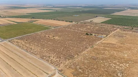 1 Rd 120, Earlimart, CA 93219 photo 5