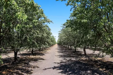 Other - 0 Springfield Ave, San Joaquin, CA 93660 photo 8 of 11