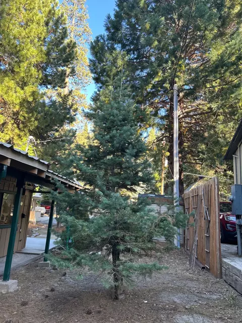 Other - 1237 Cedar Ave, Fish Camp, CA 93623 photo 15 of 20