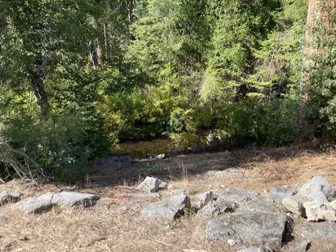 View/Area - 1237 Cedar Ave, Fish Camp, CA 93623 photo 2 of 5