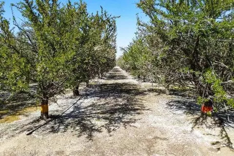 Other - 0 Lacey Blvd, Lemoore, CA 93245 photo 5 of 11