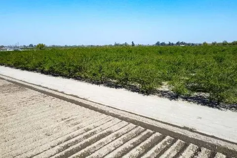 Other - 0 Lacey Blvd, Lemoore, CA 93245 photo 8 of 11