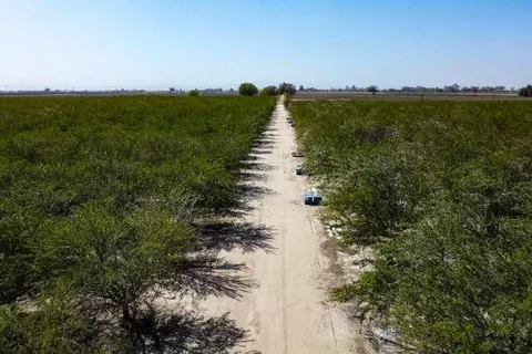 Other - 0 Lacey Blvd, Lemoore, CA 93245 photo 6 of 11