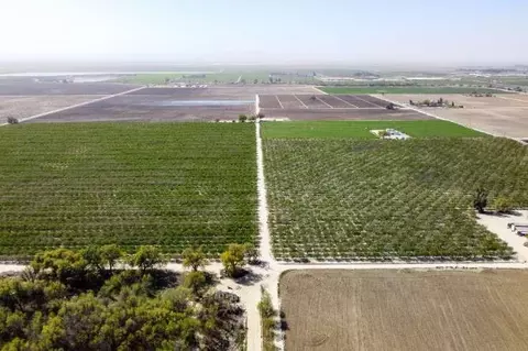 Other - 0 Lacey Blvd, Lemoore, CA 93245 photo 4 of 11