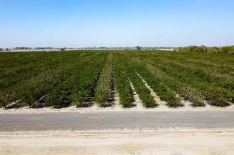 Other - 0 Lacey Blvd, Lemoore, CA 93245 photo 2 of 11