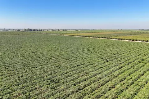 Other - 0 Road 88, Dinuba, CA 93618 photo 5 of 11