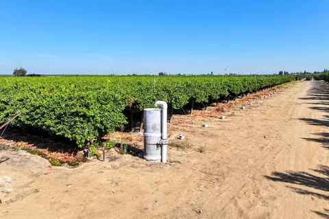 Other - 0 Road 88, Dinuba, CA 93618 photo 11 of 11