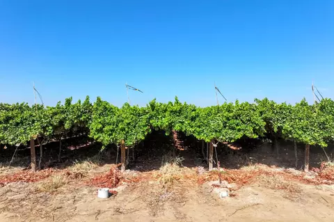 Exterior - 0 Road 88, Dinuba, CA 93618 photo 1 of 1