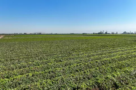 Other - 0 Road 88, Dinuba, CA 93618 photo 6 of 11