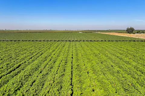 Other - 0 Road 88, Dinuba, CA 93618 photo 3 of 11