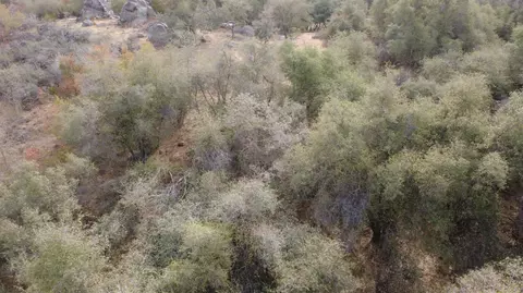 0 Geranium Ln, Yokuts Valley, CA 93675 photo 4