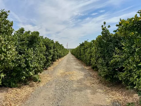 68 Avenue, Terra Bella, CA 93270