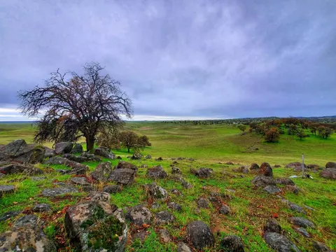 167 Highway 41, Madera, CA 93636 photo 22