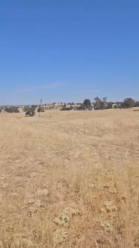 167 Highway 41, Madera, CA 93636 photo 4