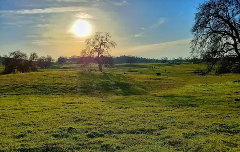 167 Highway 41, Madera, CA 93636 photo 24
