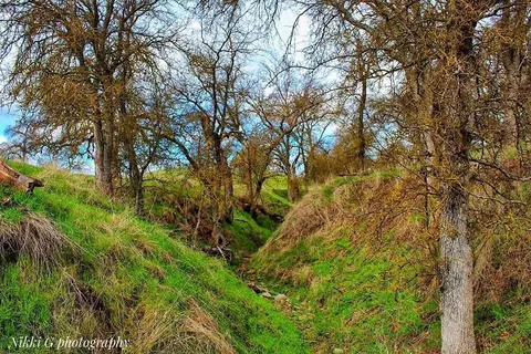 167 Highway 41, Madera, CA 93636 photo 12