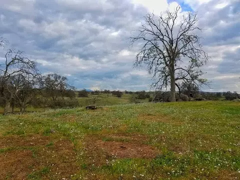 167 Highway 41, Madera, CA 93636 photo 15
