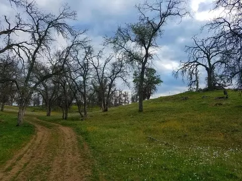 167 Highway 41, Madera, CA 93636 photo 16