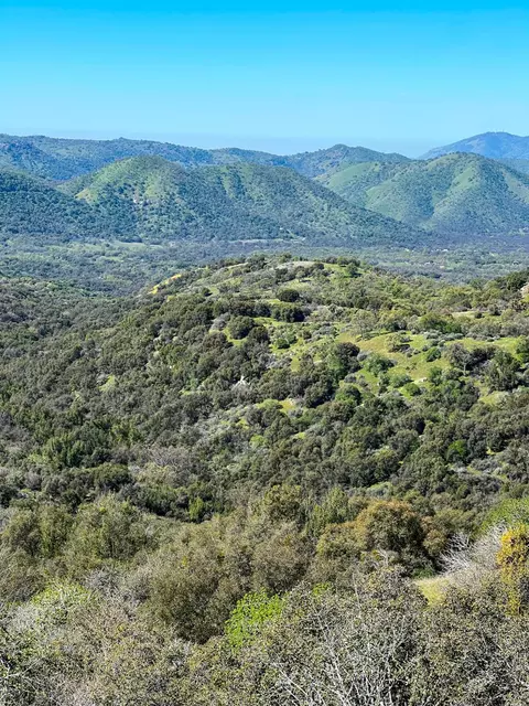 Other - 44981 Todd Eymann Rd, Miramonte, CA 93641 photo 29 of 39