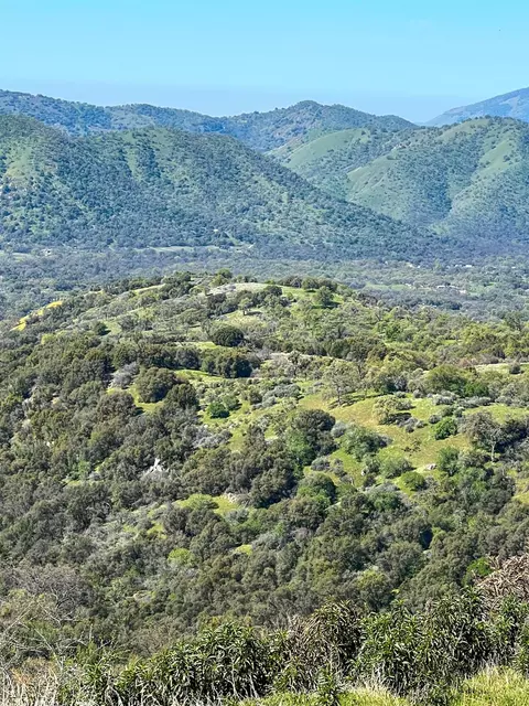 Other - 44981 Todd Eymann Rd, Miramonte, CA 93641 photo 27 of 39