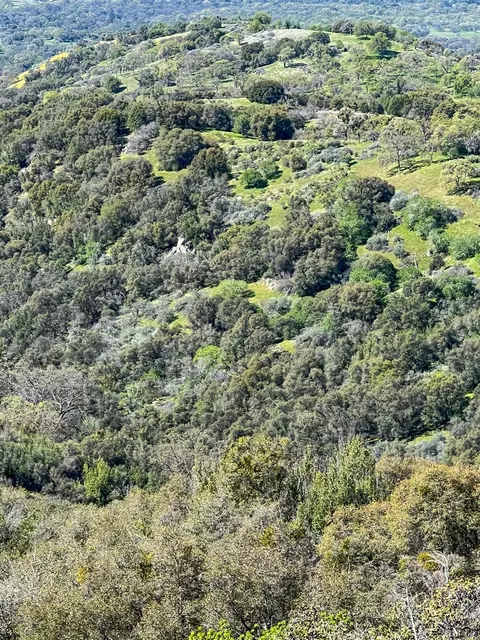 Other - 44981 Todd Eymann Rd, Miramonte, CA 93641 photo 32 of 39