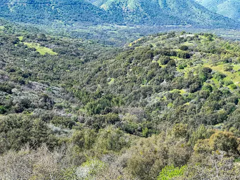 Other - 44981 Todd Eymann Rd, Miramonte, CA 93641 photo 31 of 39
