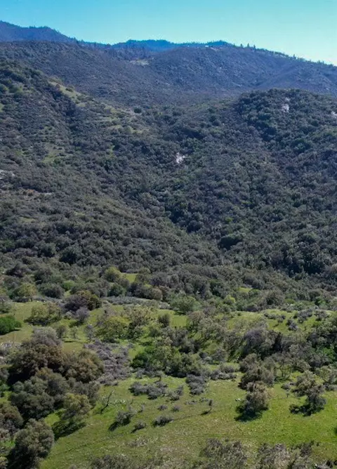 View/Area - 44981 Todd Eymann Rd, Miramonte, CA 93641 photo 2 of 7