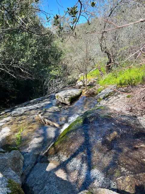 Other - 44981 Todd Eymann Rd, Miramonte, CA 93641 photo 36 of 39