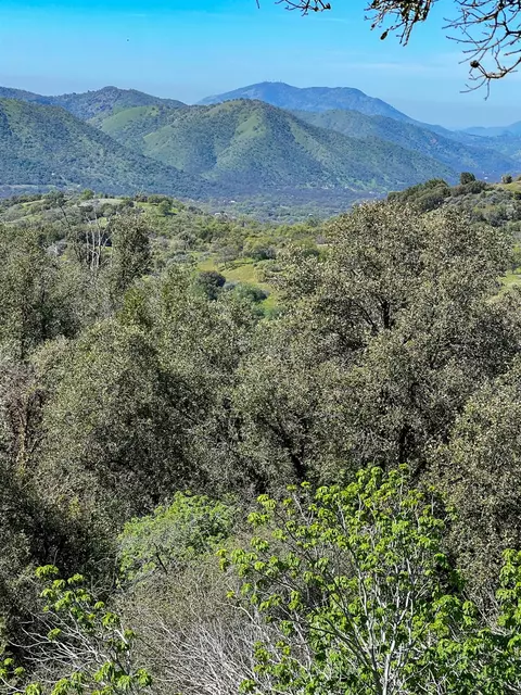 Other - 44981 Todd Eymann Rd, Miramonte, CA 93641 photo 24 of 39