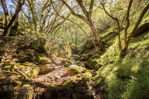 Other - 44981 Todd Eymann Rd, Miramonte, CA 93641 photo 6 of 39