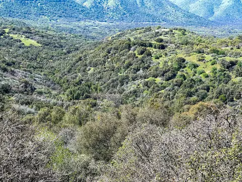 Other - 44981 Todd Eymann Rd, Miramonte, CA 93641 photo 9 of 39