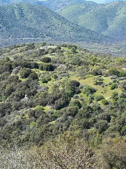 Other - 44981 Todd Eymann Rd, Miramonte, CA 93641 photo 38 of 39