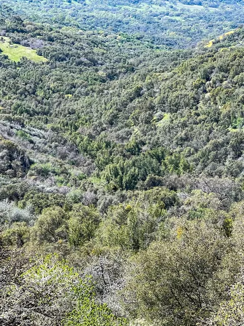 Other - 44981 Todd Eymann Rd, Miramonte, CA 93641 photo 39 of 39