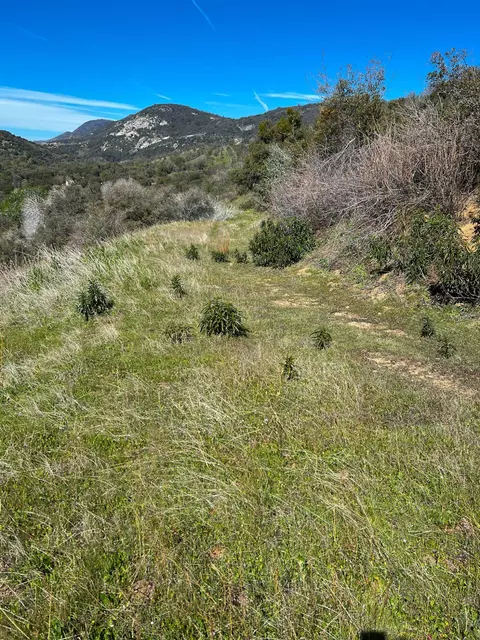 Other - 44981 Todd Eymann Rd, Miramonte, CA 93641 photo 37 of 39
