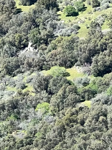 Other - 44981 Todd Eymann Rd, Miramonte, CA 93641 photo 30 of 39