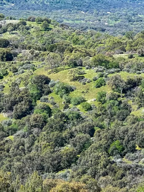 View/Area - 44981 Todd Eymann Rd, Miramonte, CA 93641 photo 7 of 7
