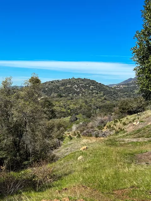 Other - 44981 Todd Eymann Rd, Miramonte, CA 93641 photo 21 of 39