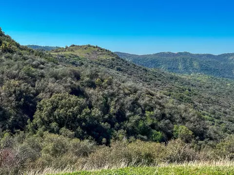 Other - 44981 Todd Eymann Rd, Miramonte, CA 93641 photo 28 of 39