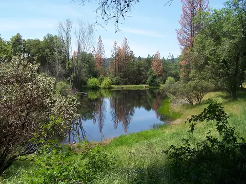 10 Rusty Ln, Oakhurst, CA 93644 photo 3