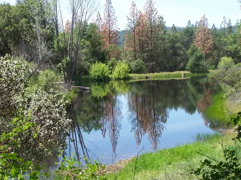 10 Rusty Ln, Oakhurst, CA 93644 photo 4
