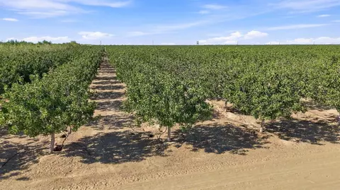 Other - 45551 W Panoche Rd, Firebaugh, CA 93622 photo 12 of 15