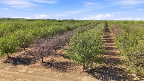 Other - 45551 W Panoche Rd, Firebaugh, CA 93622 photo 10 of 15