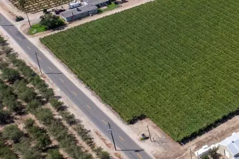 13333 Dewolf, Selma, CA 93662 photo 1
